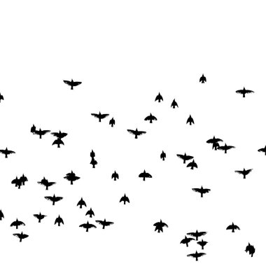 Uçan bir kuş sürüsü. Vektör illüstrasyonu