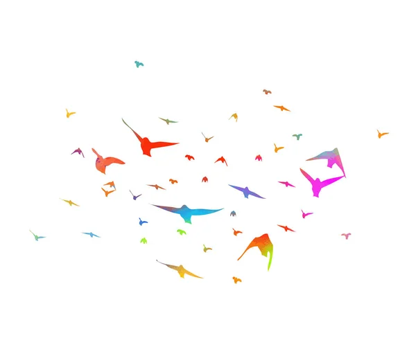 Aves multicolores. Una bandada de aves voladoras del arco iris. Ilustración vectorial — Vector de stock