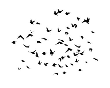 Uçan bir kuş sürüsü. Vektör illüstrasyonu