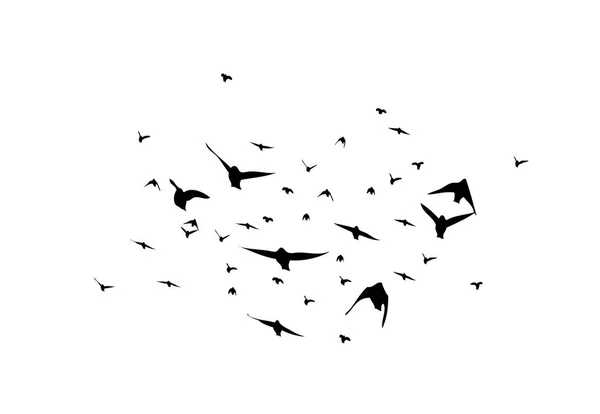 Una bandada de aves voladoras. Ilustración vectorial — Archivo Imágenes Vectoriales