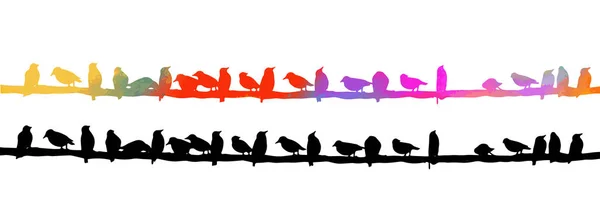 Bunte Vögel sitzen an Drähten. Vektorillustration — Stockvektor