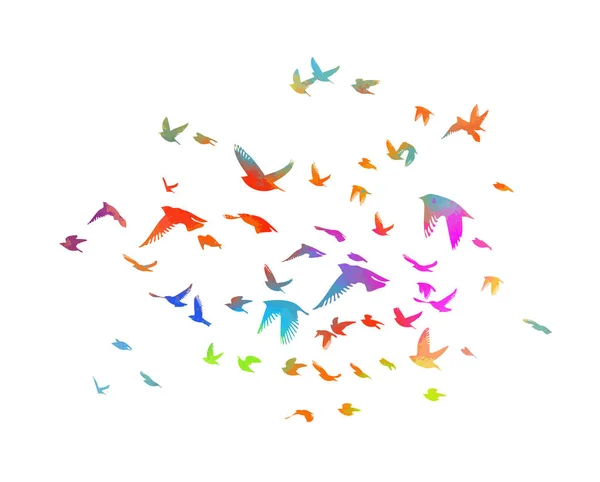 Πολύχρωμα πουλιά. Ένα σμήνος ιπτάμενων πουλιών με ουράνιο τόξο. Εικονογράφηση διανύσματος — Διανυσματικό Αρχείο