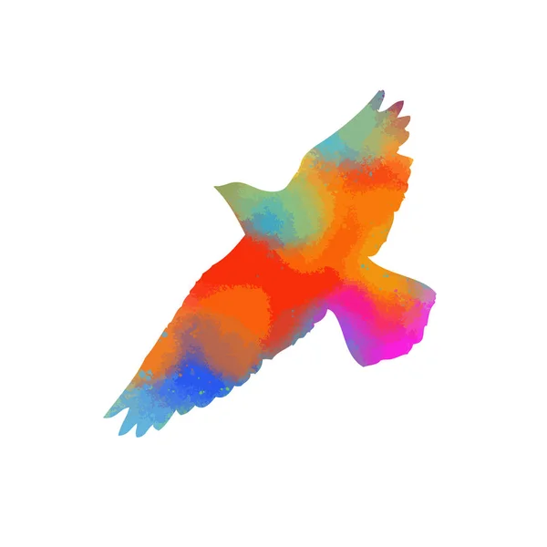 Burung terbang terang berwarna. Ilustrasi vektor - Stok Vektor