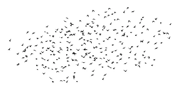 A flock of flying birds. Vector illustration — Stock Vector