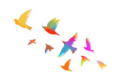 Çok renkli kuşları. Uçan gökkuşağı kuşu sürüsü. Vektör illüstrasyonu