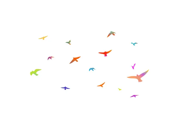 Bunte Vögel. Ein Schwarm fliegender Regenbogenvögel. Vektorillustration — Stockvektor