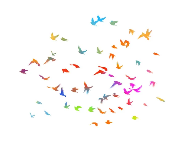 Aves multicolores. Una bandada de aves voladoras del arco iris. Ilustración vectorial — Vector de stock