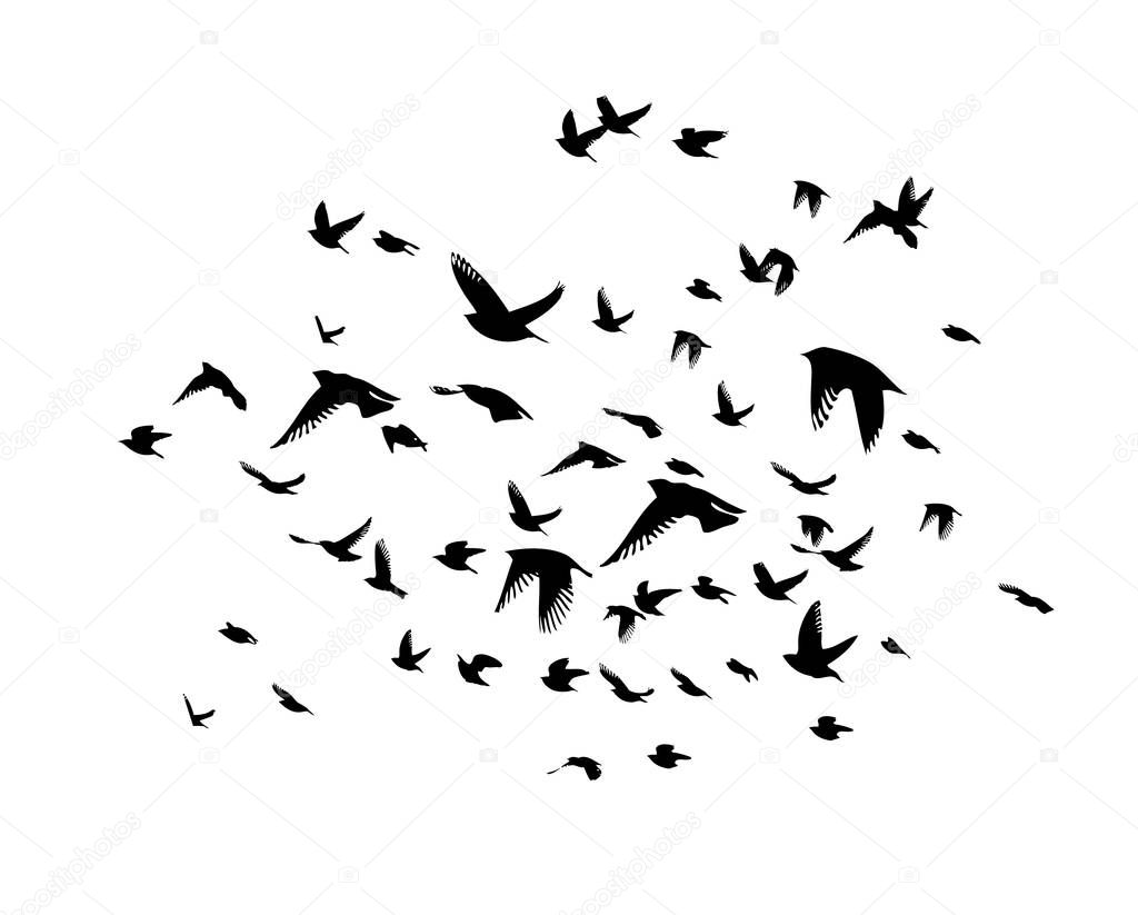 A flock of flying birds. Vector illustration