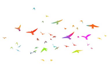 Çok renkli kuşları. Uçan gökkuşağı kuşu sürüsü. Vektör illüstrasyonu