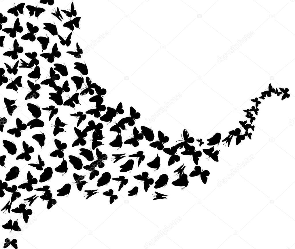 A lot of flying butterflies. Abstract butterflies pattern. Vector illustration