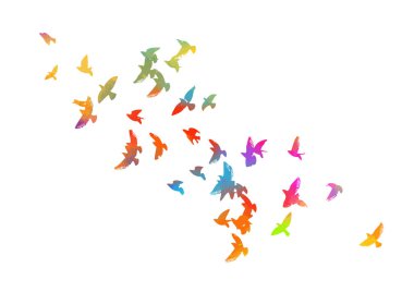 Çok renkli kuşları. Uçan gökkuşağı kuşu sürüsü. Vektör illüstrasyonu