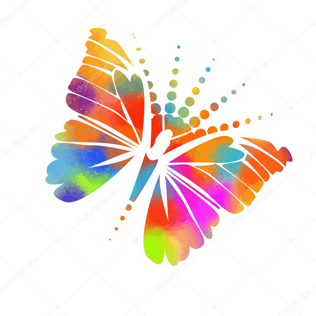 Colorful butterfly of patterns. Vector illustration