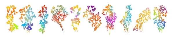 Conjunto de galhos multicoloridos abstratos. abstração floral colorido. Ilustração vetorial — Vetor de Stock