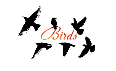 Uçan bir kuş sürüsü. Vektör illüstrasyonu