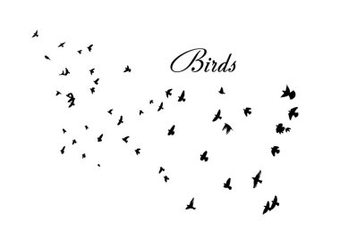 Uçan bir kuş sürüsü. Vektör illüstrasyonu