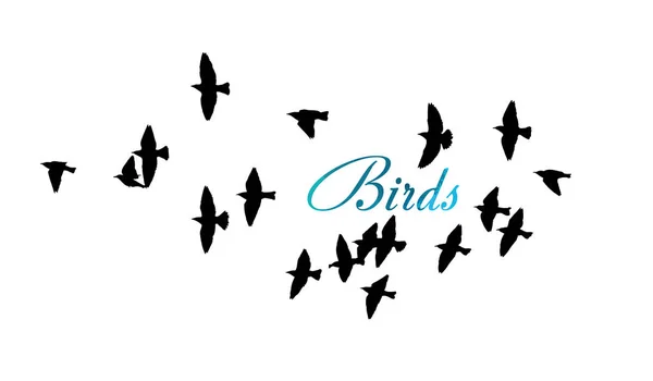 Un troupeau d'oiseaux volants. Illustration vectorielle — Image vectorielle