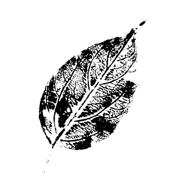 Черный отпечаток листа дерева. Векторная иллюстрация — стоковый вектор