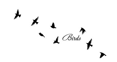 Uçan bir kuş sürüsü. Vektör illüstrasyonu