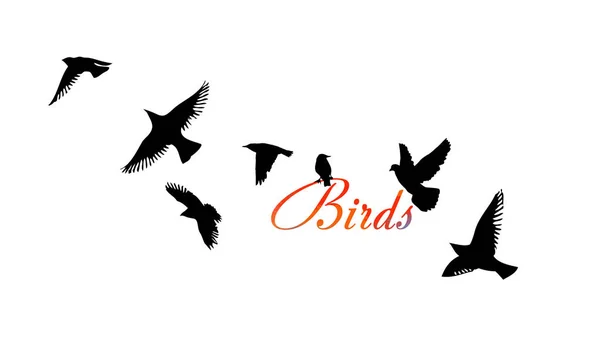 Uno stormo di uccelli volanti. Illustrazione vettoriale — Vettoriale Stock