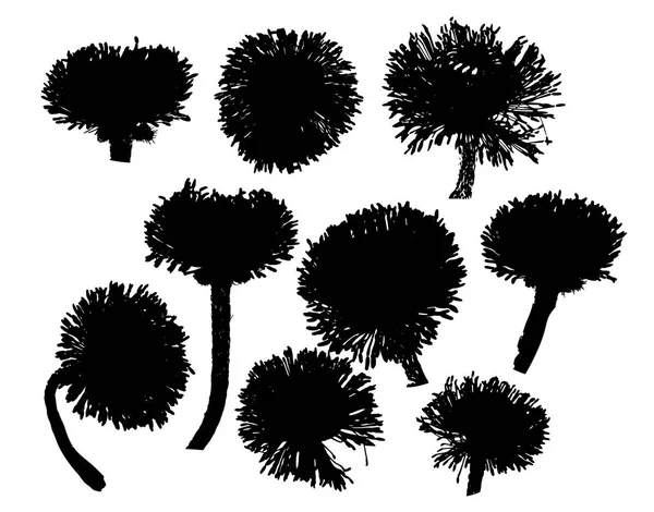 Siluetleri çiçek kümesi üzerinde beyaz izole. vektör çizimler — Stok Vektör
