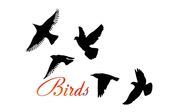 Ein Schwarm fliegender Vögel. Vektorillustration — Stockvektor