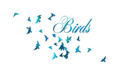 Uçan mavi kuş sürüsü. Vektör illüstrasyonu