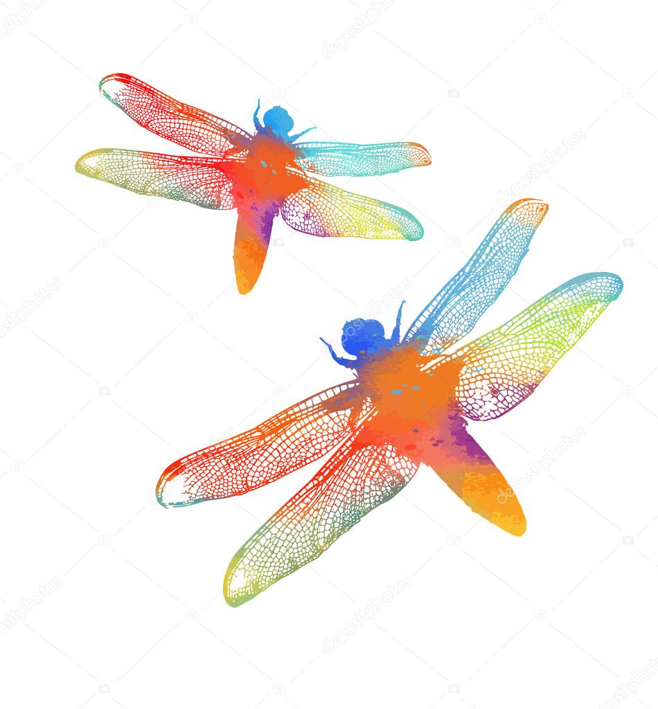 The silhouette of a rainbow dragonfly. Vector illustration