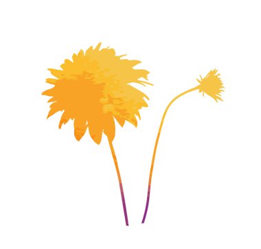 Renkli bir çiçek. Vektör çizimi