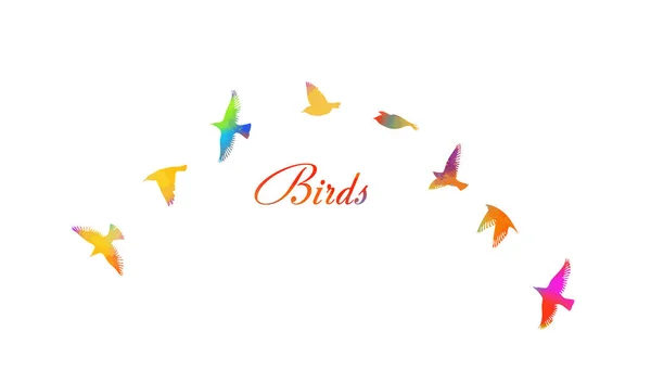 Mnohobarevné ptáky. Hejno létajících duhových ptáků. Vektorová ilustrace — Stockový vektor