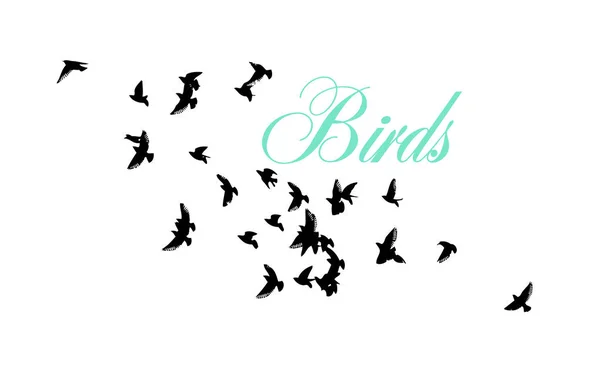 Una bandada de aves voladoras. Ilustración vectorial — Archivo Imágenes Vectoriales