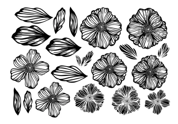 Conjunto de flores gráficas monocromas. Logo Vector ilustración — Vector de stock