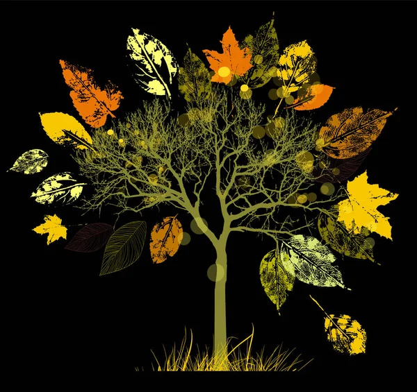Podzimní strom se žlutými a oranžovými listy.. Vektorové ilustrace — Stockový vektor