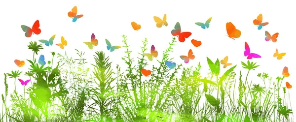 Silhouette of grass on white background. Multi-colored butterflies. Vector illustration — Stock Vector