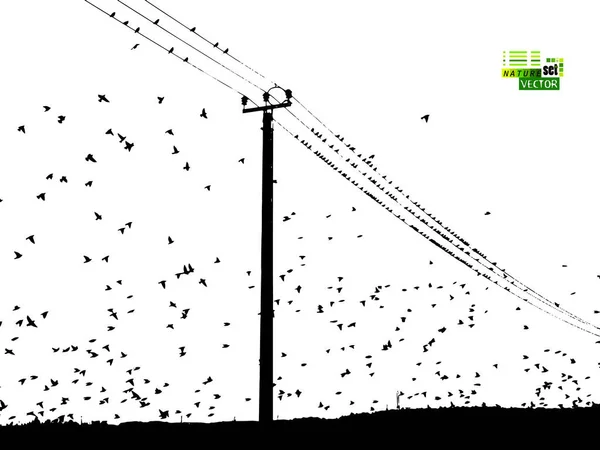 Pássaros nos fios. Ilustração vetorial — Vetor de Stock