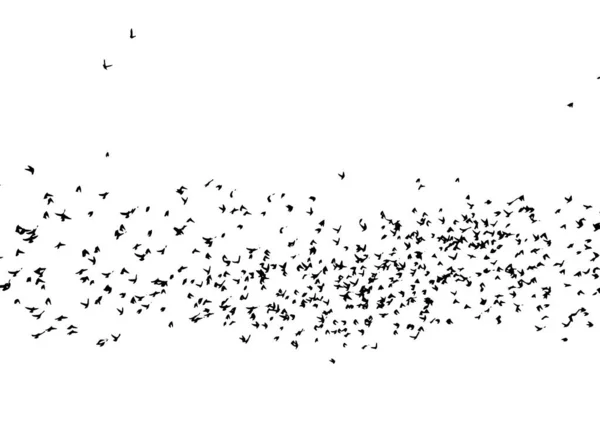 Uno stormo di uccelli volanti. Illustrazione vettoriale — Vettoriale Stock