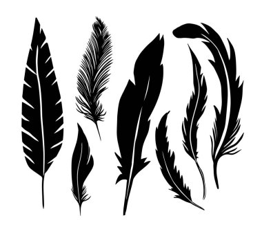 Bir dizi tüy silueti. Vektör illüstrasyonu