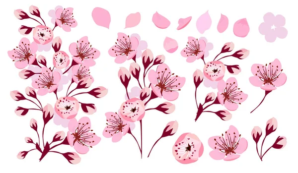 Fiori Sakura. Una serie di oggetti. Illustrazione vettoriale — Vettoriale Stock