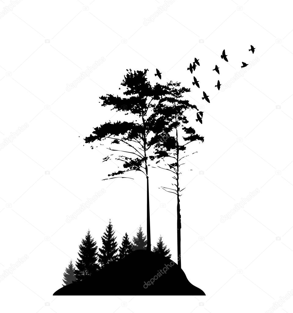 Landscape nature trees on the hill. Flying birds in the forest. Vector illustration