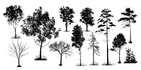 Set Silhouettes Trees Vector Illustration — Stock Vector