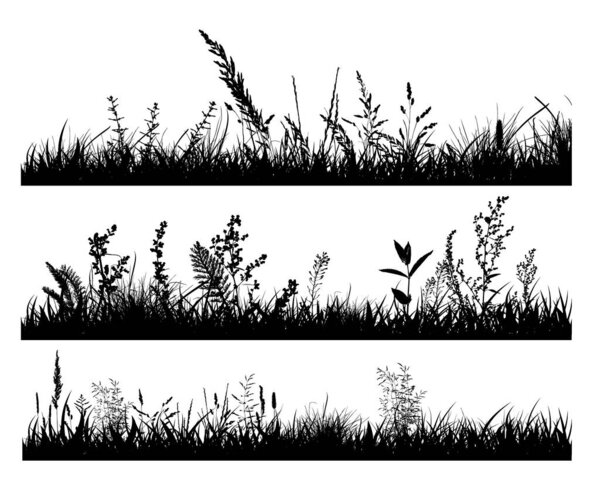 Abstract background with black silhouettes of meadow wild herbs and flowers. Wildflowers. Floral background. Wild grass. Vector illustration.