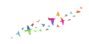 Kuş suluboya. Renkli bir kuş sürüsü. Vektör illüstrasyonu