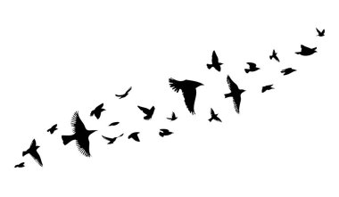 A flock of flying birds. Vector illustration clipart