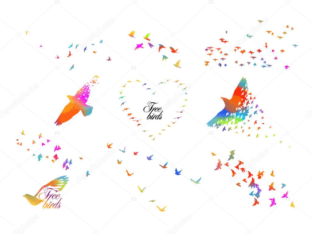 Bird watercolor. A flock of colorful birds. Vector