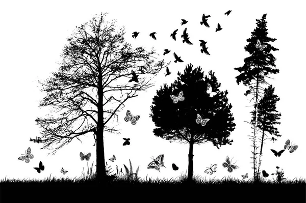 Monochrome Landscape Trees Butterflies — Stock Vector