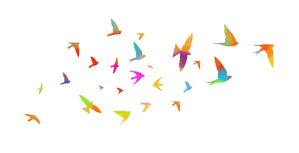 Bird Watercolor Flock Colorful Birds Vector — Stock Vector