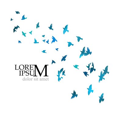 Kuş suluboya. Renkli bir kuş sürüsü. Vektör