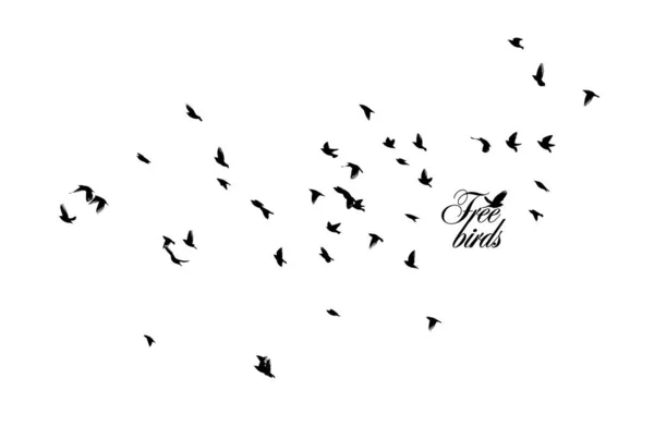 Una bandada de aves voladoras. Libertad. Ilustración vectorial — Vector de stock