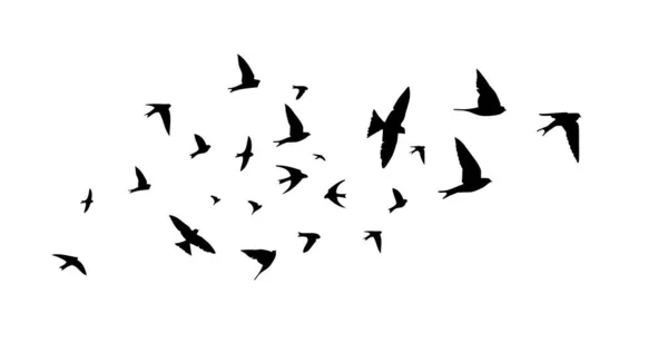 Una bandada de aves voladoras. Ilustración vectorial — Vector de stock