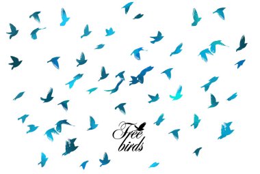 Kuş suluboya. Renkli bir kuş sürüsü. Karışık medya. Vektör illüstrasyonu