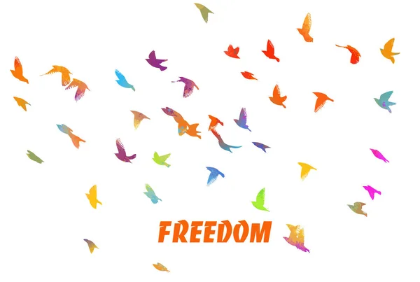 Υδατογραφία πουλιών. Ένα σμήνος από πολύχρωμα πουλιά. Ελευθερία. Μικτά μέσα. Εικονογράφηση διανύσματος — Διανυσματικό Αρχείο